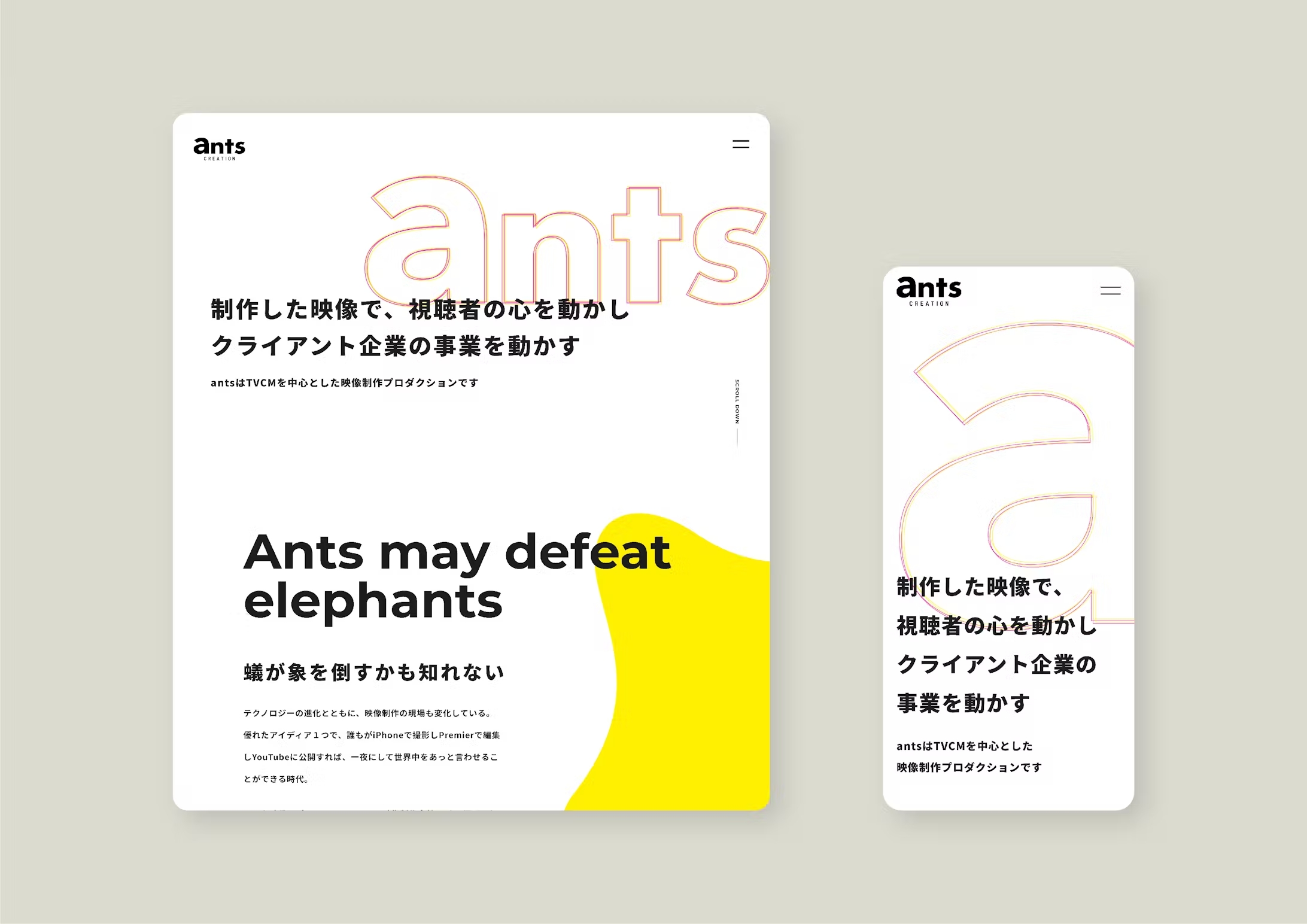 ants-2